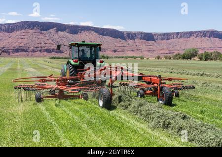 Ein Drehrechen kombiniert kleinere Heureihen zu einer größeren Reihe, um die Anzahl der für die Ballenpresse erforderlichen Durchgänge zu reduzieren. Stockfoto