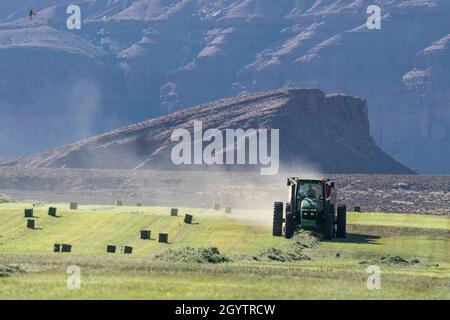 Heuballenpressen mit einem John Deere Traktor 7930 und einer GPT Twin Pak Ballenpresse auf einer Ranch im Süden von Utah. Stockfoto