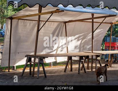 Berlin, Deutschland. Oktober 2021. Ein Hund läuft vor einem leeren Marktstand am Maybachufer im Stadtteil Neukölln entlang. Quelle: Stefan Jaitner/dpa/Alamy Live News Stockfoto