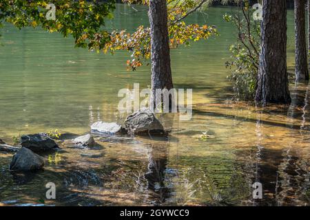 Starke Regenfälle verursachen Überschwemmungen am See, der Felsen bedeckt, Bäume und das Strandgebiet Nahaufnahme an einem sonnigen Tag im Herbst Stockfoto