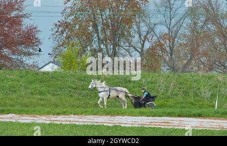 Ronks, Pennsylvania, April 2021 - ein Amish Open Horse und Buggy Reisen entlang einer Landstraße durch Ackerland an einem Frühlingstag Stockfoto