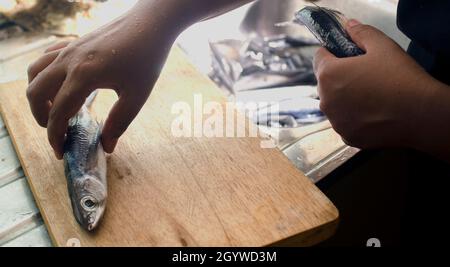 Frauen halten einen Fisch auf einem Holzbrett. Zubereitung des Garvorbereitens. Stockfoto