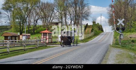 Ein Amish Horse und Buggy Reisen entlang einer Landstraße durch Ackerland an einem Frühlingstag Stockfoto