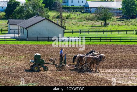 Amish Farmer Pflügefeld nach der Maisernte mit 6 Pferden, die an einem sonnigen Tag Landmaschinen mit Gasmotor auf die Ausrüstung ziehen Stockfoto