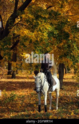 Reiterin galoppieren weißen arabischen Pferd den Weg hinunter in Der Herbstabend Stockfoto