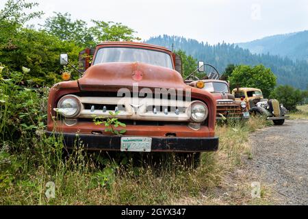 Die Vorderseite eines 1953 F600 Ford LKW in einem Schrottplatz in Idaho, USA Stockfoto