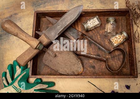 Gartenhandwerkzeuge und Samen auf einer Gartenbank Stockfoto