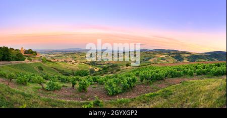 Nach dem Sonnenuntergang, Panorama der Weinberge des Beaujolais, Frankreich Stockfoto