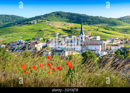 Le Perreon et les lueurs matinales, Le Beaujolais Stockfoto