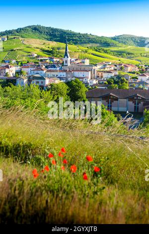 Le Perreon et les lueurs matinales, Le Beaujolais Stockfoto