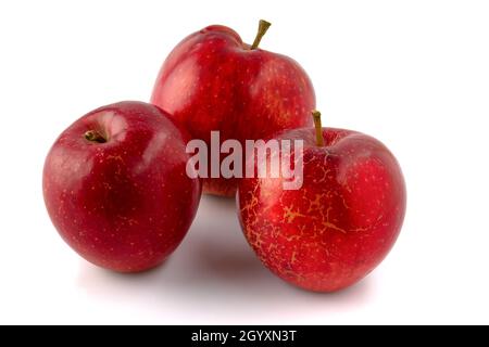 Frische rote Äpfel. Früchte isoliert auf weißem Hintergrund. Stockfoto