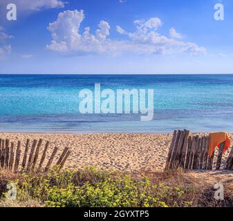 Sommer: Zaun am Strand in Apulien, Italien: Der Sandstrand von San Pietro in Bevagna ist eine natürliche Oase vor dem blauen Ionischen Meer. Stockfoto