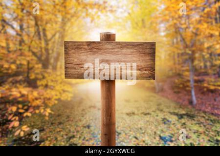 Naturholz Mock up Schild oder Richtung Boardin den Wald mit Herbst Hintergrund. Hochwertige Fotos Stockfoto