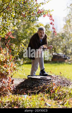 Ein reifer Mann, der vor dem Hintergrund von Dickichten aus wilden Trauben posiert. Er legt seinen Fuß auf den Deckel des unterirdischen Tanks. Stockfoto
