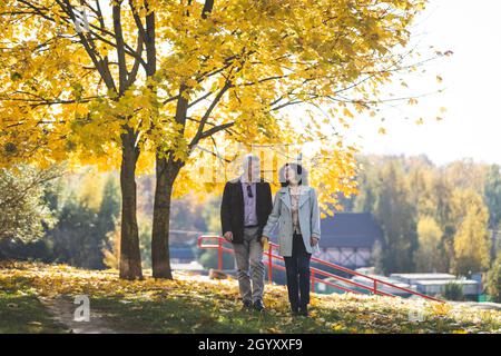 Porträt eines reifen Paares von 50 Jahren in einem Herbstpark. Stockfoto