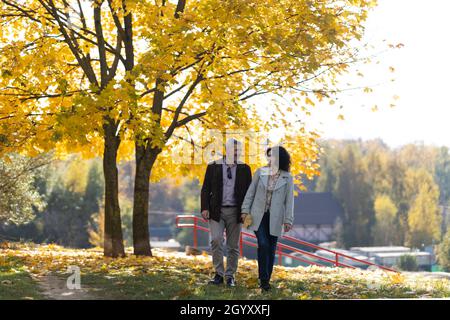 Porträt eines reifen Paares von 50 Jahren in einem Herbstpark. Ein reifes Paar, das sich die Hände hält, geht in einem Herbstpark spazieren Stockfoto