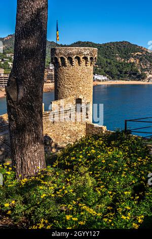 Turm und Mauern von der oberen Burg, Tossa de Mar, Costa Brava, Girona, Katalonien, Spanien. Stockfoto