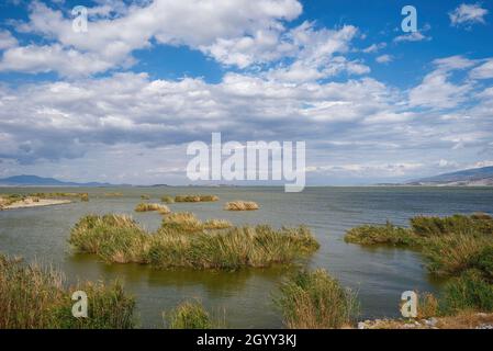 Der schöne See Carla oder Karla , geschütztes Feuchtgebiet, Ökologie, Volos, Griechenland Stockfoto