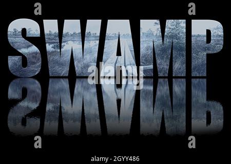 Sumpftext bestehend aus Landschaftsfoto auf schwarzem Hintergrund mit Textspiegelung im Wasser. Nebel über Moor mit Holzweg, kleinen Teichen und Kiefern. H Stockfoto