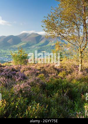 Skiddaw und Keswick von Walla Crag bei spätsommerlicher Sonne, Lake District, England Stockfoto