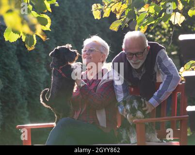 Seniorenpaar mit zwei niedlichen Hunden Miniatur-Schnauzer auf Bank im Park im Herbst sitzen Stockfoto