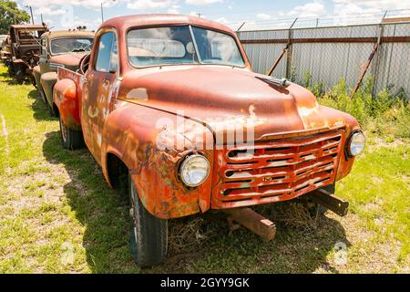 Rustikaler amerikanischer Vintage-Truck Studebaker 2R mit verwitterter orangefarbener Farbe parkt neben anderen alten Fahrzeugen auf einem grasbewachsenen Feld unter klarem blauem Himmel Stockfoto