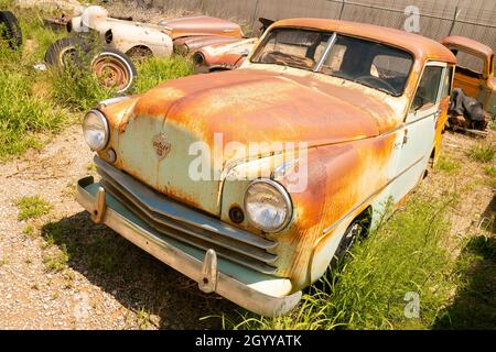 Eine Sammlung rostiger crosley-Fahrzeuge aus den 1950er Jahren, die auf einem bewachsenen Grasgelände mit einem Kettenzaun im Hintergrund stehen Stockfoto