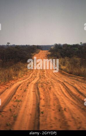 Der Waterberg Plateau Park ist ein Nationalpark im Zentrum Namibias, der das Waterberg Plateau umfasst, 68 km östlich der Stadt Otjiwarongo Stockfoto