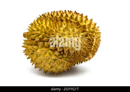 Reifer Durian auf weißem Hintergrund Stockfoto