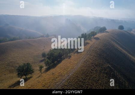 Luftbild der schönen Landschaft der zagajicka Hügel, Sanddünen mit Gras und Bäumen bedeckt am nebligen Morgen Stockfoto