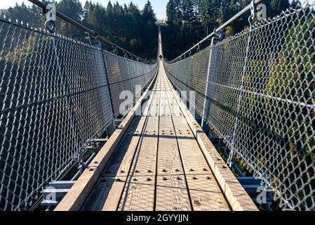 Hängebrücke aus Holz mit Stahlseilen über einem dichten Wald in Westdeutschland. Stockfoto