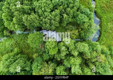 Ein Luftblick auf einen kleinen Fluss, der sich inmitten der grünen Frühlingslandschaft schlängelt. Stockfoto