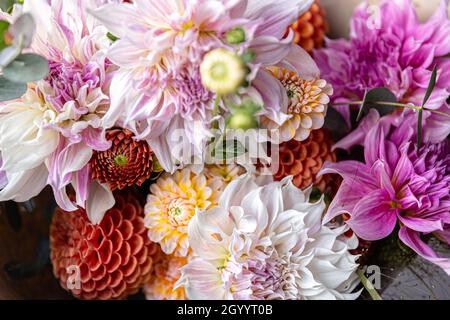 Nahaufnahme eines schönen festlichen Bouquets mit bunten chrysanthen. Stockfoto