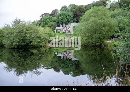 Spiegelbild im See Stockfoto
