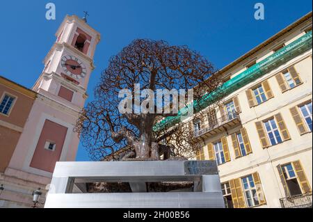 Die Olivenbaum-Skulptur 'L'oulivié' auf dem Place du Palais de Justice, Nizza, Frankreich Stockfoto