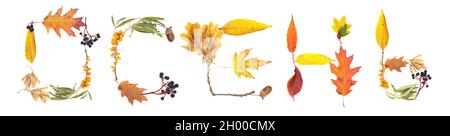 Wort HERBST in Russisch aus hellen Herbstblättern und bunten Beeren isoliert auf weiß Stockfoto