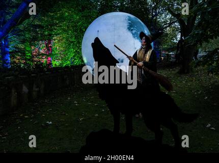 Frau in schickes Kleid als Hexe mit Broomstick, Vollmond & Silhouette eines heulenden Wolfes, Edinburgh Zoo Halloween Trail, Schottland, UK Stockfoto