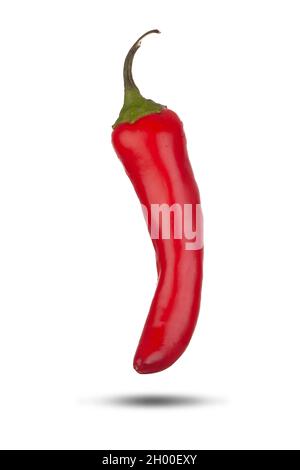 Rote scharfe Chilischote aus nächster Nähe isoliert auf weißem Hintergrund Stockfoto