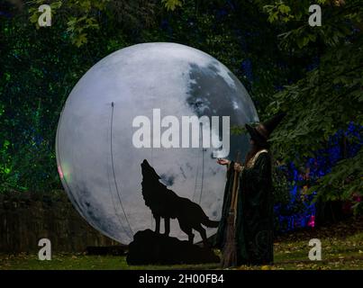 Frau in schickes Kleid als Hexe mit Broomstick, Vollmond & Silhouette eines heulenden Wolfes, Edinburgh Zoo Halloween Trail, Schottland, UK Stockfoto