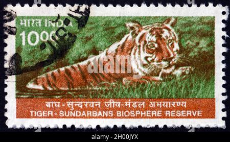 INDIEN - UM 2000: Eine in Indien gedruckte Marke zeigt Tiger, Panthera Tigris, Sundarbans National Biosphere Reserve, um 2000 Stockfoto