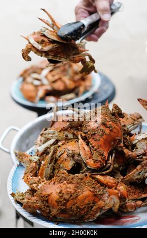 Gedämpfte Maryland-Krabben in Old Bay-Gewürz Stockfoto