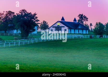 Morgen - Kentucky Bluegrass Horse Farm - Lexington Stockfoto