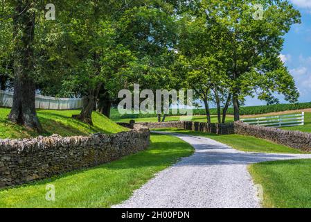 Country Road and Stone Wall - Shakertown - Mercer County - Kentucky Stockfoto