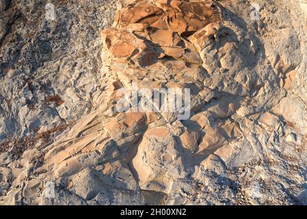 Felsformation an der Küste von Dschanhot (Russland) Nahaufnahme. Textur, Hintergrundschichten und Risse im Sedimentgestein an der Felswand. Felsschiefer in der Stockfoto