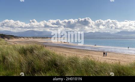 Newborough, Wales: Llanddwyn Bay und Stranddünen an der Südwestküste von Anglesey, mit Bergen von Snowdonia in der Ferne. Stockfoto