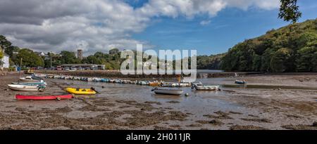 Dorf Stoke Gabriel an einem Bach des Flusses Dart mit großem Mühlteich, South Hams, England, Vereinigtes Königreich. Stockfoto