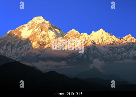 Mount Dhaulagiri, Abendansicht von Mount Dhaulagiri, Himalaya, Nepal Stockfoto