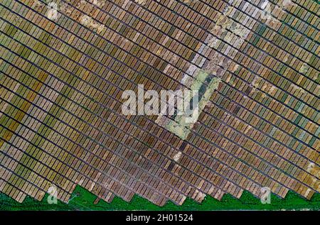 Abstraktes Bild von Pixel wie grüne und braune Quadrate. Luftbild von verschiedenen landwirtschaftlichen Testplots in Ebenen schießen von Drohne Stockfoto