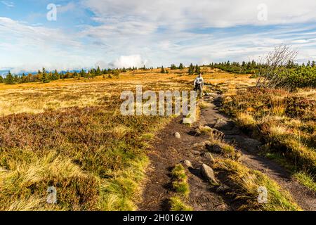 Wanderweg durch die Vogesen bei Plainfaing, Frankreich Stockfoto