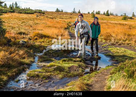 Wanderweg durch die Vogesen bei Plainfaing, Frankreich Stockfoto